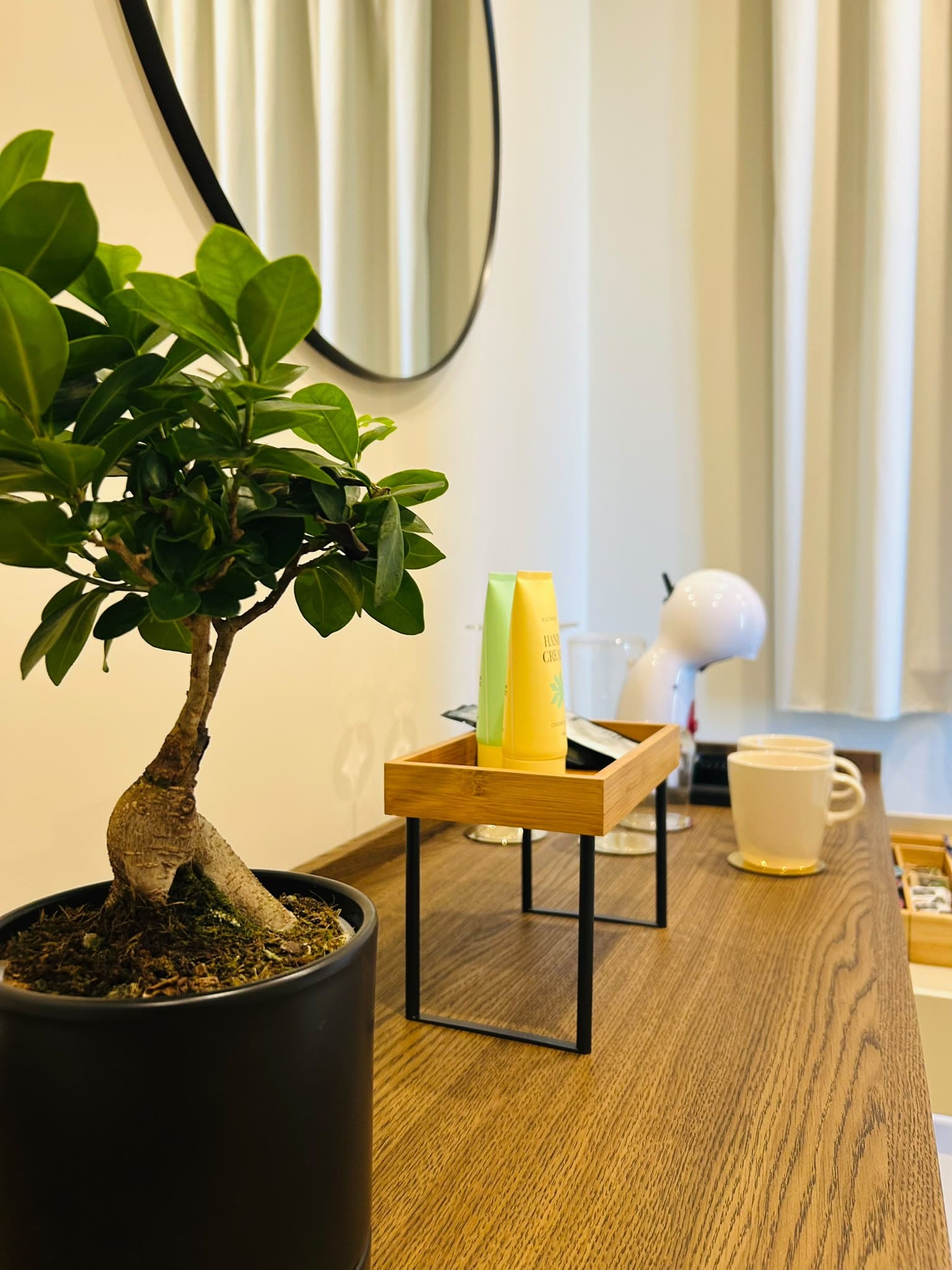 Junior Suite 5