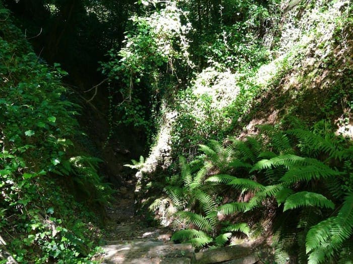 percorsi naturalistici