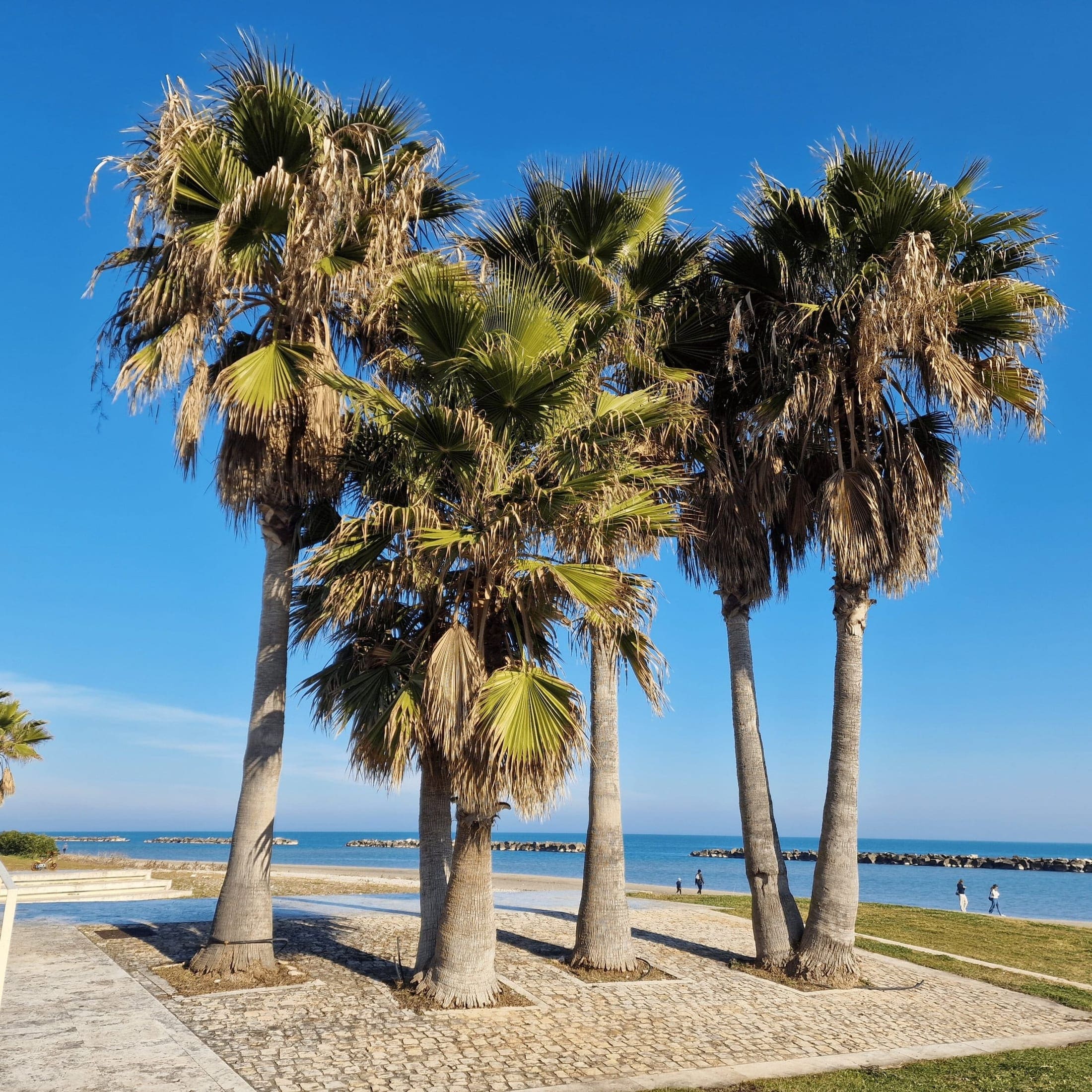 Camminatori su un sentiero panoramico tra natura e costa
